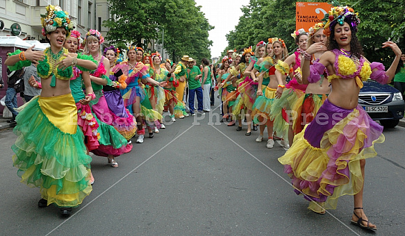 Carnival of Cultures 2011